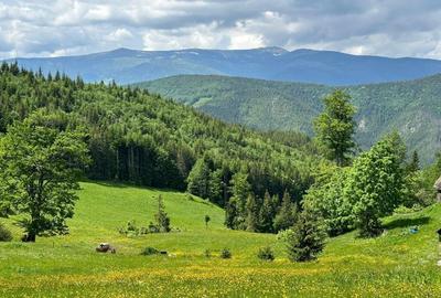Terenuri extravilane Cozieni, jud. Buzau 70000mp - 1