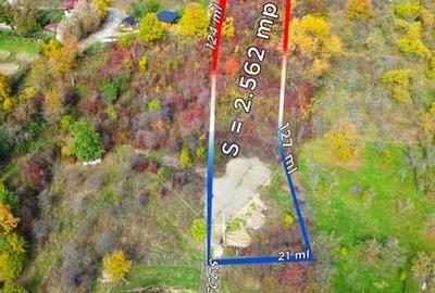 Teren de vanzare Baia Mare str. Strada Miron Costin - 1