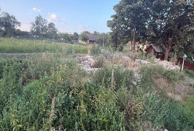 Casă cu 2 camere în Crocna - 1