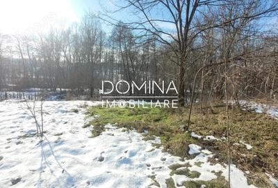 Casă cu 5 camere cu Teren 2333 Mp în Arcani - 5