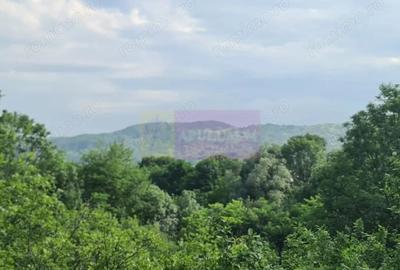 Vila de vanzare cu 6 camere in Cornu (teren 6.600 mp) - 3