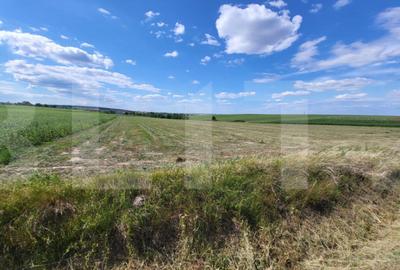 Teren de 3600 mp, în Central - 3