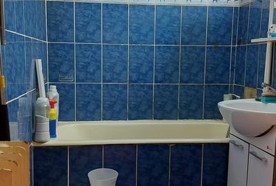 Drumul Taberei , Parc Moghioros - 3