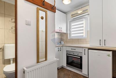 Apartament 1 camera de inchiriat zona Banul Maracine - 6