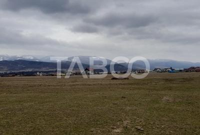 Teren intravilan 11.400 mp deschidere 45 ml in Talmaciu zona de case - 1