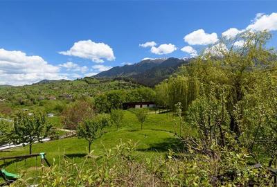 Pensiune:3 km de Castelul Bran,2.900mp teren,piscina,ciubar,teren sport,aviz ISU - 36