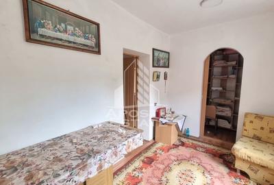 Casa individuala, curte generoasa, centrala proprie, sat Covaci - 9