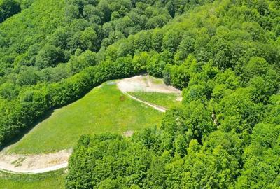 Teren de 16000 mp, în Poiana Mărului - 1