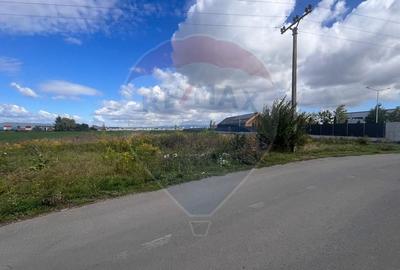 De vanzare - Teren industrial 8.500 mp, Grivitei/Calea Feldioarei - 10