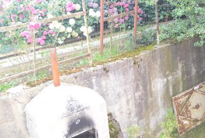 Inchiriere apartament cu trei camere in vila - 3