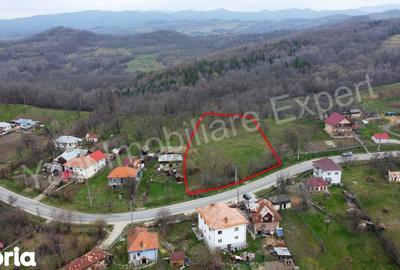 Teren de 2674 mp, în Cepari - 11