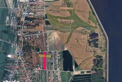 Teren de 5000 mp, în Coteana - 1