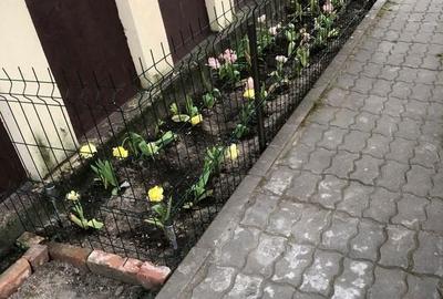 Apartament cu 3 camere decomandat în Chitila - 8