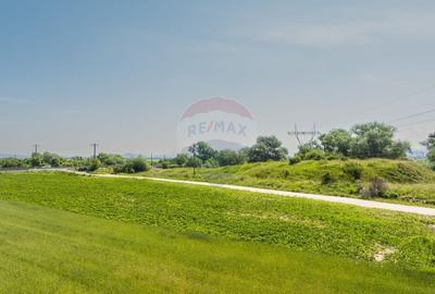 Teren agricol extravilan de 6193 mp, în Sud-Est - 28