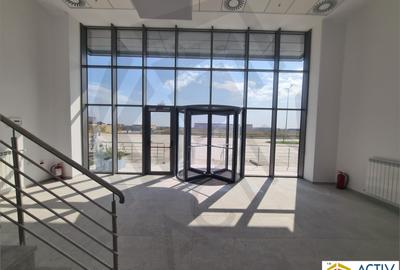 Hale moderne de inchiriat in Villar Logistics Park Bucharest West - 4