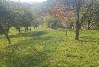 Casa si teren 1.6 ha de vanzare, in Rona de Jos - 6