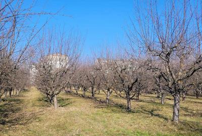 Teren de 6307 mp, în Exterior Vest - 1