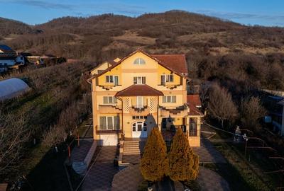 Casă individuală cu 11 camere în Aninoasa