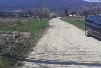 Teren de 2000 mp, în Jiblea Nouă - 1
