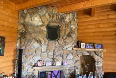 Casă cu 6 camere cu Teren 17000 Mp în Dumbrăvița - 11