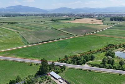 DN11 | 45.000 mp industrial | Front 155 ml | PUZ aprobat | UAT Prejmer - 5