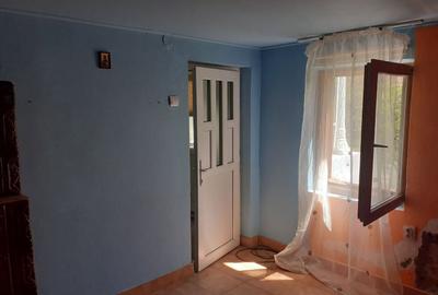 Casă cu 4 camere cu Teren 3850 Mp în Olanu - 2