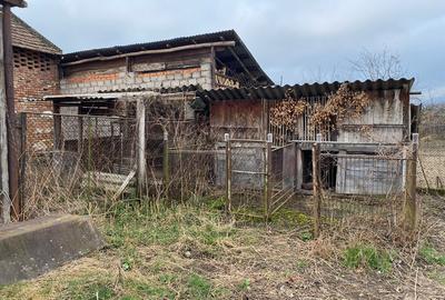 Casa Dalboset, Caras-Severin - 16