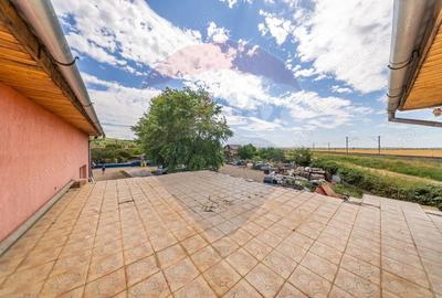 Spa?iu industrial cu potential de vanzare in Paulis,Arad - 13