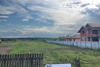 Teren de 2000 mp, în Dorolț - 1