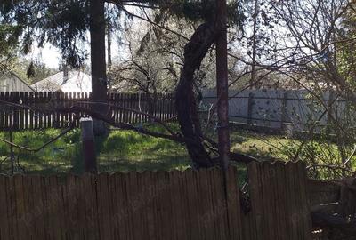 Casă cu 4 camere în Moldoveni - 2