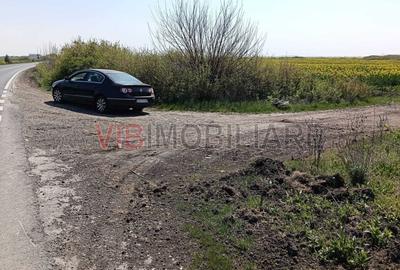 Teren de 10000 mp, în Săcălaz - 3