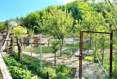 Casa de vacanta / Pensiune / Voineasa - 18