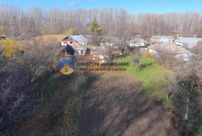 Casă cu 3 camere cu Teren 5062 Mp în Nord - 4