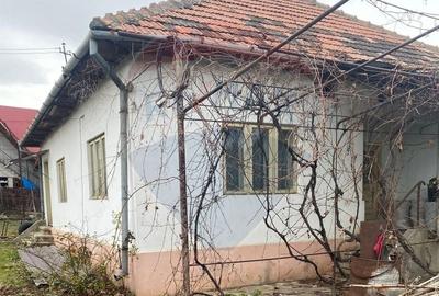 Casă cu 3 camere cu Teren 5000 Mp în Cislău - 2