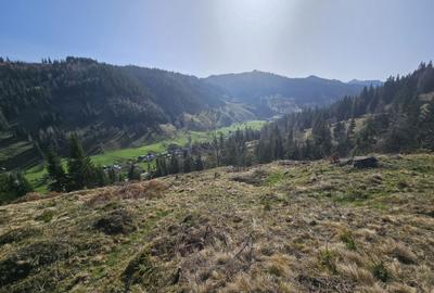 Spațiu comercial, în Pojorâta - 7