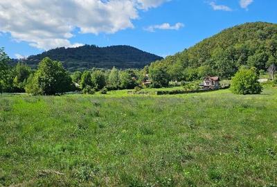 Teren intravilan,cadru natural de poveste,Scaricica-Gloduri,Al.cel Bun - 6