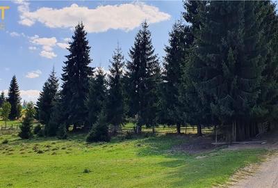 Oportunitare | Teren 1350 mp cu PUZ | Belis - 1