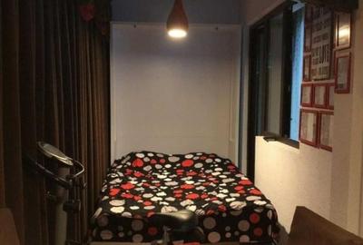 Apartament cu 2 camere semidecomandat, mobilat în Rahova - 2