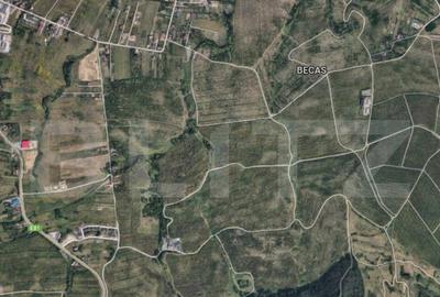 Teren de 2500 mp, în Becaș - 2