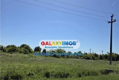 Vindem 12 ha teren intravilan curti-constructii in Teiu - Ar - 4