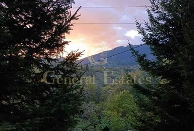 Spațiu comercial, în Bran - 2