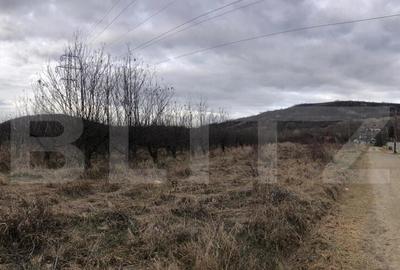 Teren intravilan, 1037 mp, Viforata - 1