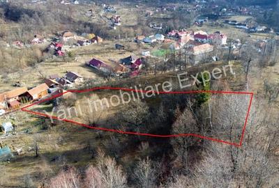 Teren de vanzare in comuna Cicane?ti, sat Cicane?ti, Jude? Arge?. - 12