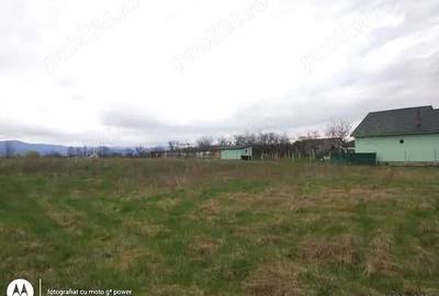 Teren de 844 mp, în Lăpuș - 2