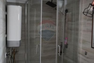 Casă individuală cu 5 camere cu Canalizare în Moisei - 42