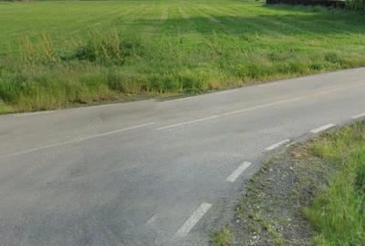 Teren de 10000 mp, în Central - 1