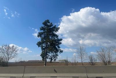 Teren Construcții intravilan de 23000 mp, în Tâncăbești - 2