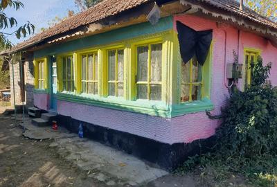 Casă cu 3 camere în Potcoava - 3