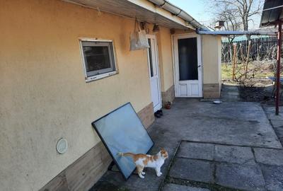 Casă individuală cu 4 camere cu Teren 2740 Mp în Scorțaru Vechi - 7