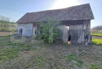 Casă cu 2 camere cu Teren 15000 Mp în Central - 2